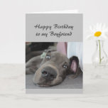 Birthday to my Boyfriend Fun Dog Relax Humor Card<br><div class="desc">Happy Birthday to my Boyfriend definition of Relax Humor Greeting with cute Great Dane Dog</div>