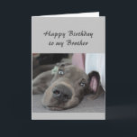 Birthday to my  Brother Fun Dog Relax Humour Card<br><div class="desc">Happy Birthday to my  Brother definition of Relax Humour Greeting with cute relaxing Great Dane Dog</div>