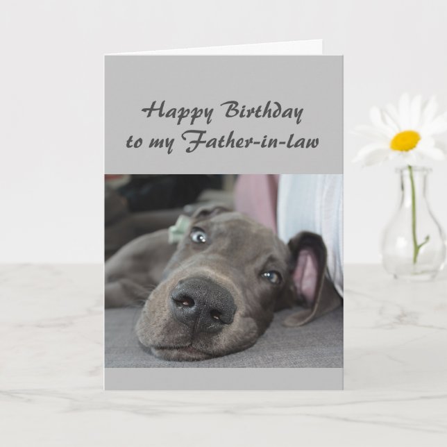 Birthday to my Father-in-law Fun Dog Relax Humor Card (Small Plant)