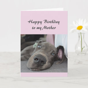 Birthday to my Mother Fun Dog Peace Humour Card