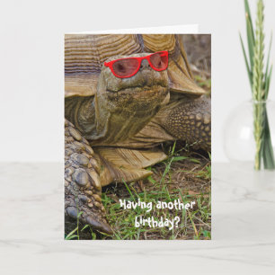 Birthday tortoise in sunglasses card
