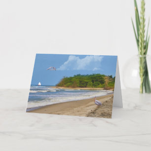 Birthday, Tropical Beach, Birds Card