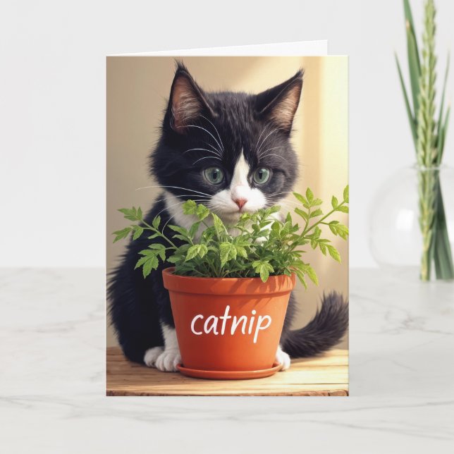 Birthday Tuxedo Kitten With Catnip Plant Card (Front)