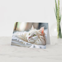 Birthday White Cat In Bed