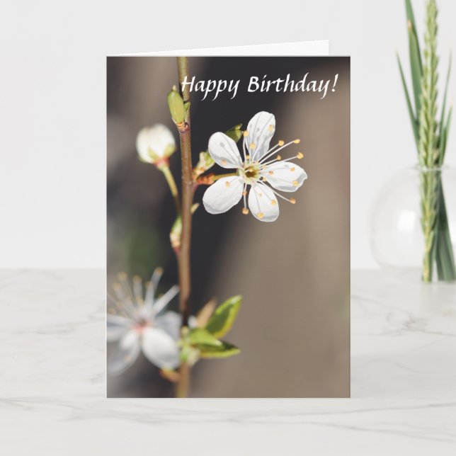 Birthday White Cherry Blossoms Card (Front)