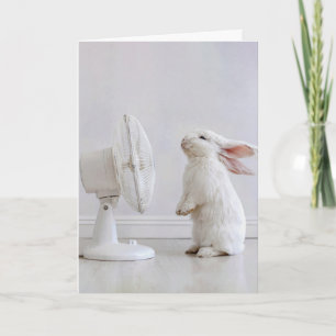 Birthday White Floppy-eared Rabbit Cooling Off Card