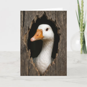 Birthday White Goose Peeking Out of Hole Card