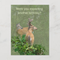 Birthday Whitetail Deer Buck & Doe