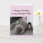 Birthday Wife Fun Dog definition of Relax Humour Card<br><div class="desc">Happy Birthday Wife definition of Relax Humour Greeting with cute relaxing Great Dane Dog</div>