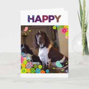 BIRTHDAY WISH WITH A **SURPRISE INSIDE FOR SURE** CARD