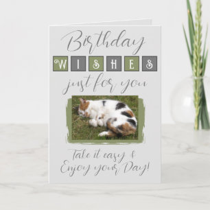 Birthday wishes add cat photo grey green card