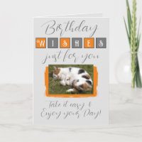 Birthday wishes add cat photo grey orange