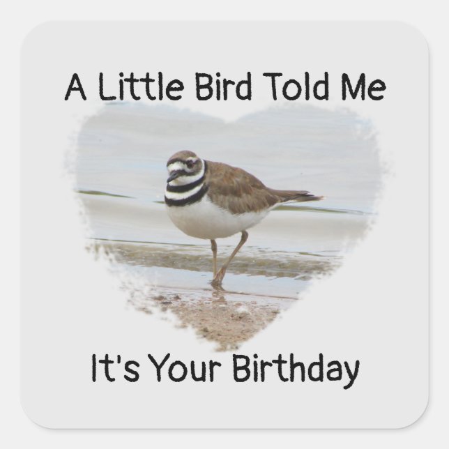 Birthday Wishes Little Bird Humourous Envelope Sea Square Sticker (Front)