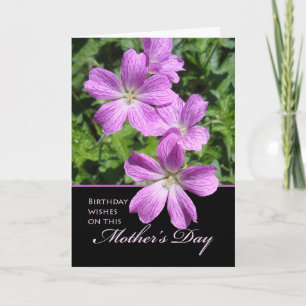 Birthday Wishes on Mother's Day, Geraniums Card