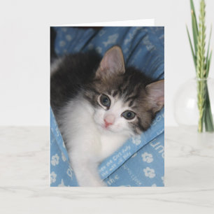 Birthday Wishes "The Purr—fect Birthday" Card