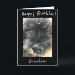 BIRTHDAY WISHES TO **GRANDSON** CARD<br><div class="desc">HAVE FUN SENDING OR GIVING THIS CARD FOR HE WILL LOVE RECEIVING IT FROM "YOU" FOR SURE. I LOVE THIS LINE OF CARDS AND I THANK YOU FOR STOPPING BY 1 OF MY 8 STORES.</div>