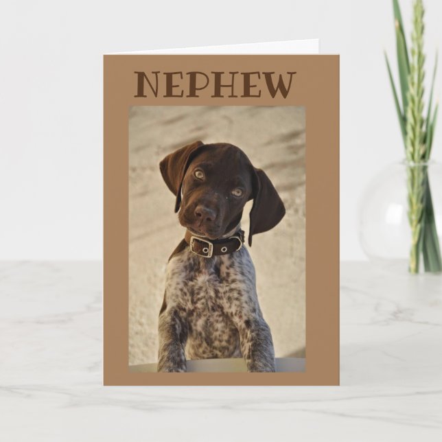 BIRTHDAY WISHES TO **NEPHEW** CARD (Front)