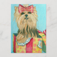 Birthday Yorkie