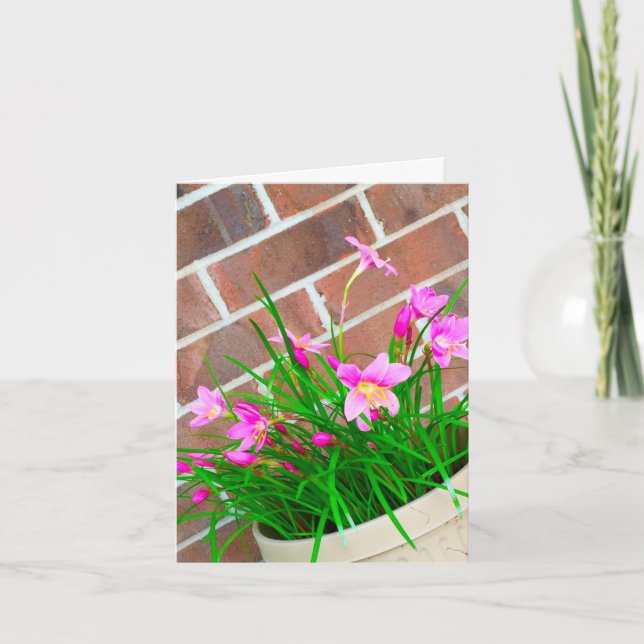 Birthdays Are Better in Pink (Card) Card (Front)