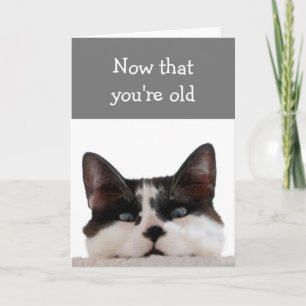 Birthdays Now that You're Old Funny Over the Hill Card