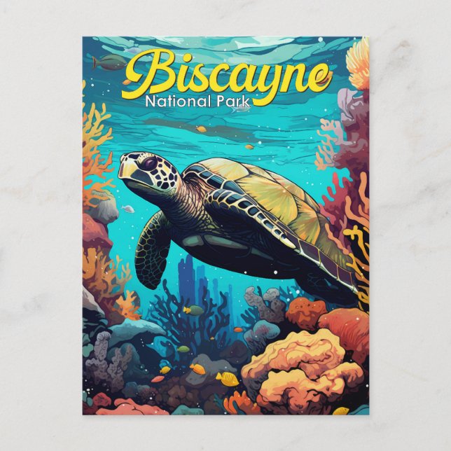 Biscayne National Park Turtle Illustration Retro Postcard (Front)