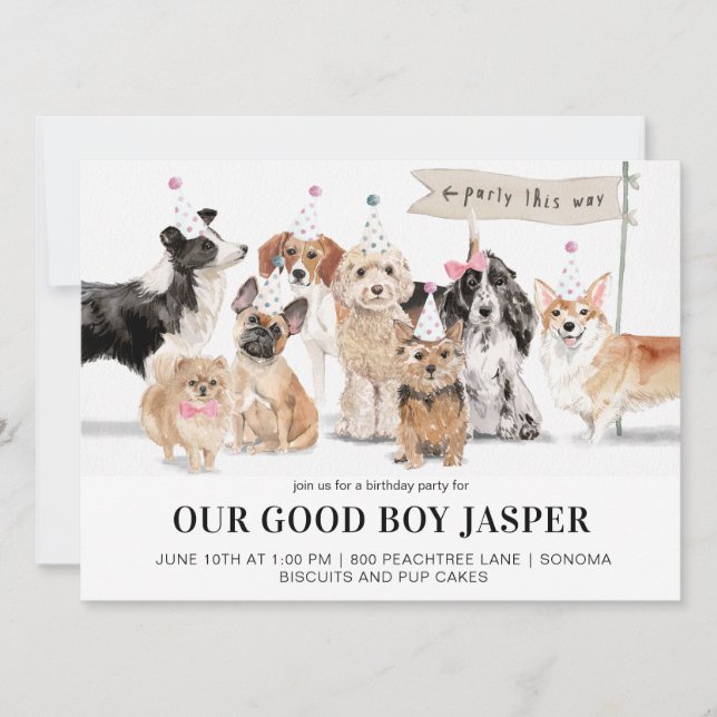 Biscuits & Pup Cakes Dog's Birthday Party Invitation (Front)