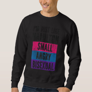 Bisexual Bi Pride Flag I'm Just Like Hamilton Smal Sweatshirt