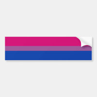 Bisexual Flag & Pride community /gender car 