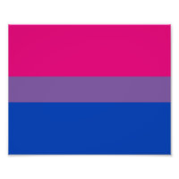 Bisexual Pride Flag