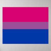 Bisexual Pride Flag