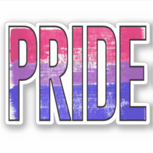 Bisexual Pride Word