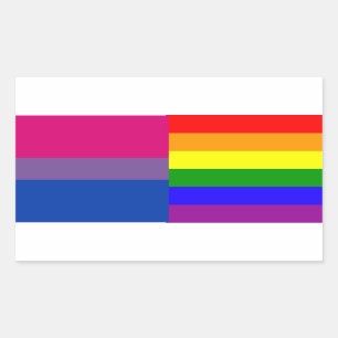 Bisexual/rainbow flag stickers