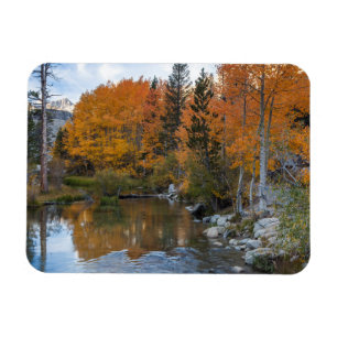 Bishop Creek. Outlet and fall colour Magnet