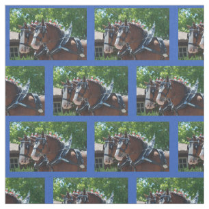 Bishop Mule Days Parade of 2018 Fabric