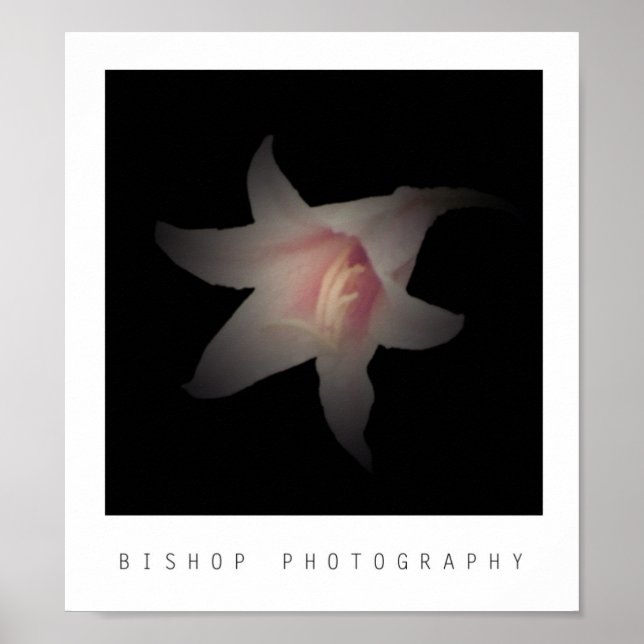 Bishop Photography Poster (Front)