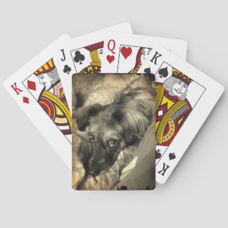 Bisky on Deck Playing Cards