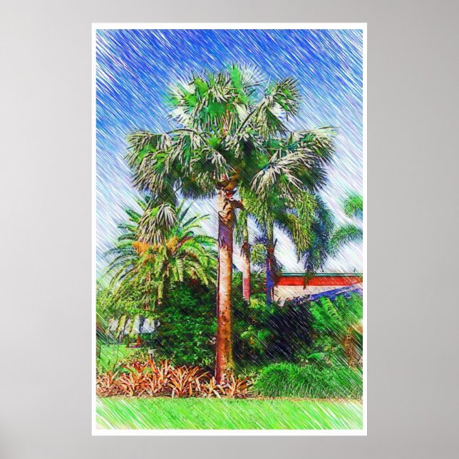 Bismarckia nobilis palm tree, colour pencil poster (Front)