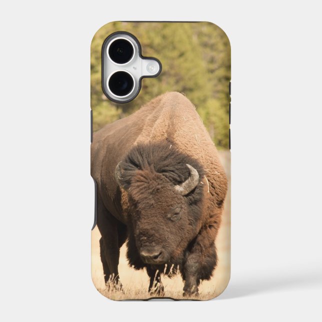 Bison (Back)
