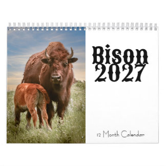 Bison 2027 12 Month Calendar