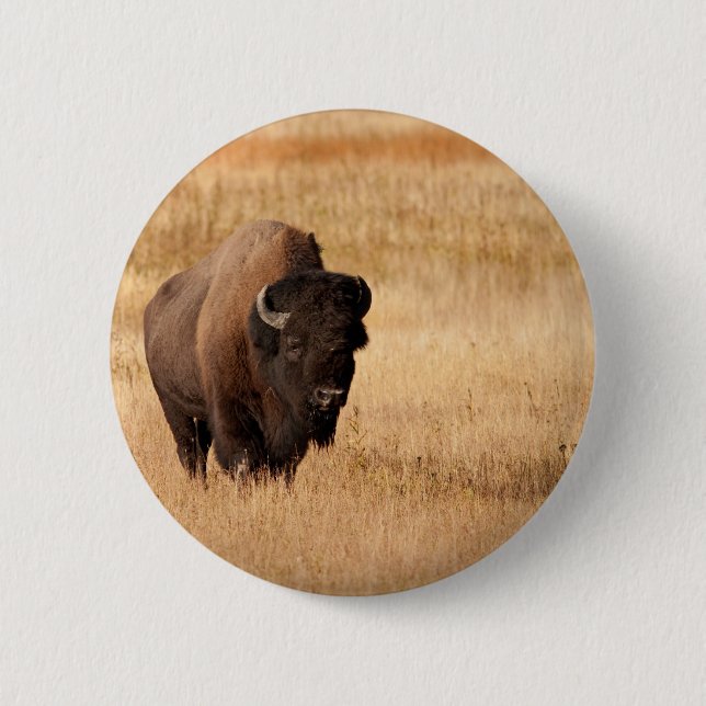 Bison 6 Cm Round Badge (Front)