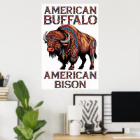 Bison Adorned In Feathers