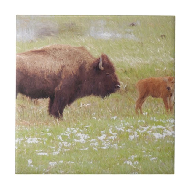 Bison and Calf in Yellowstone Tile (Front)