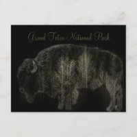 Bison and Forest Grand Teton National Park