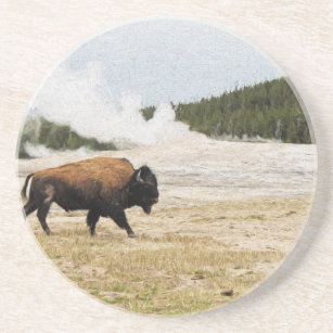 Bison and Old Faithful Coaster