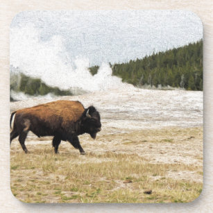 Bison and Old Faithful Coaster