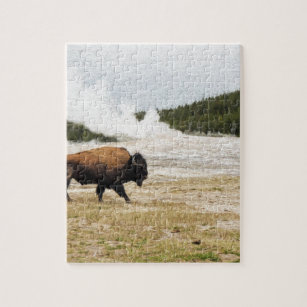 Bison and Old Faithful Jigsaw Puzzle