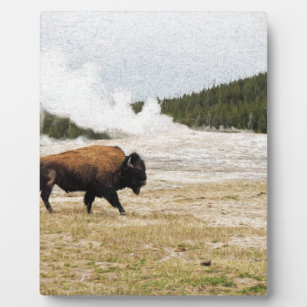 Bison and Old Faithful Plaque