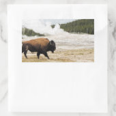 Bison and Old Faithful Rectangular Sticker (Bag)