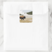 Bison and Old Faithful Square Sticker (Bag)