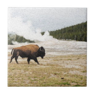 Bison and Old Faithful Tile